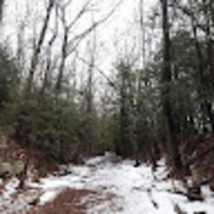 Meet your Posher, Jacqueline